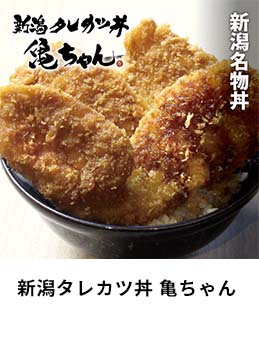 新潟タレカツ丼 亀ちゃん
